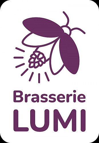 logo_lumi_violet