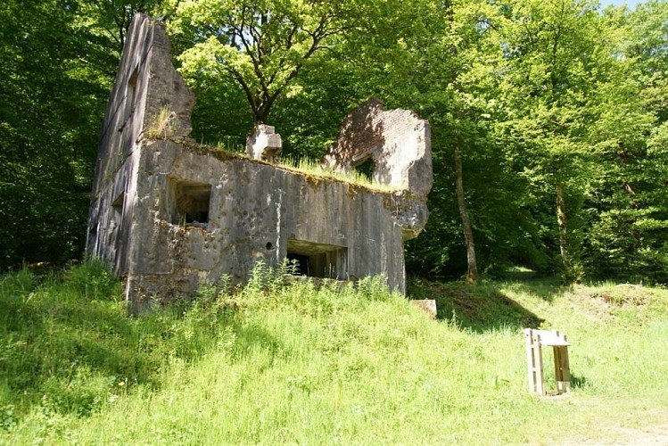 Maison Forte n°11 de la Hatrelle