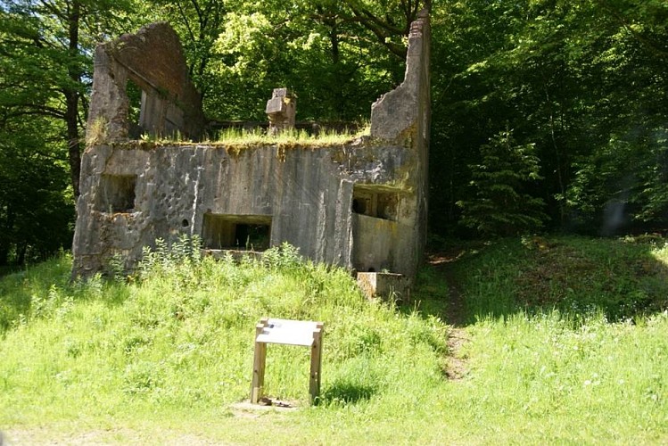 Maison Forte n°11 de la Hatrelle