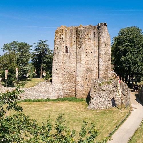 Visite Flash : Au cœur du Château