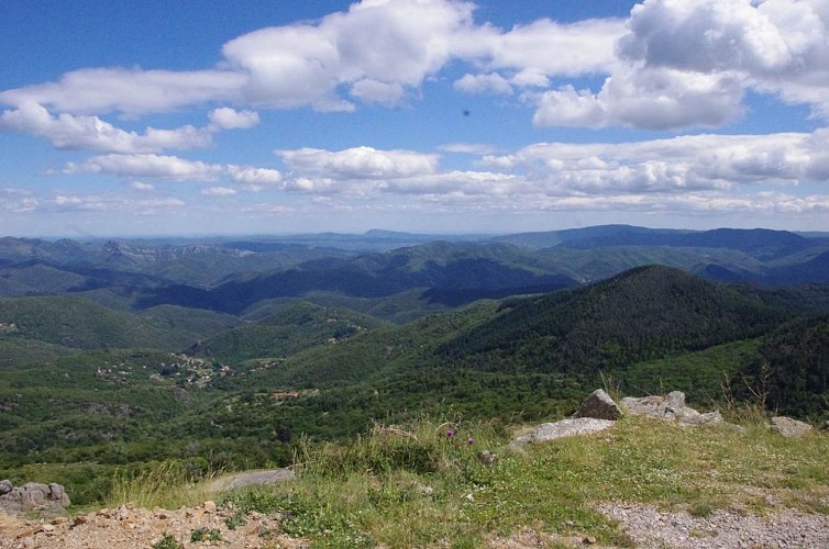 Cévennes Randos - Aigoual fragrance