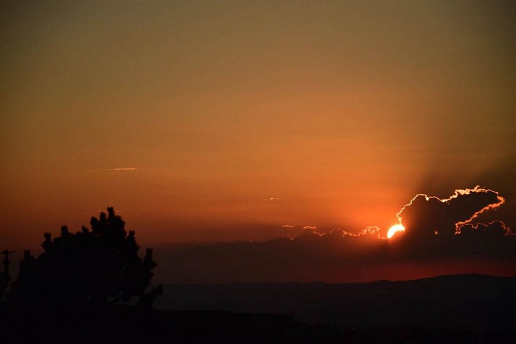 Cévennes Randos - Aigoual fragrance