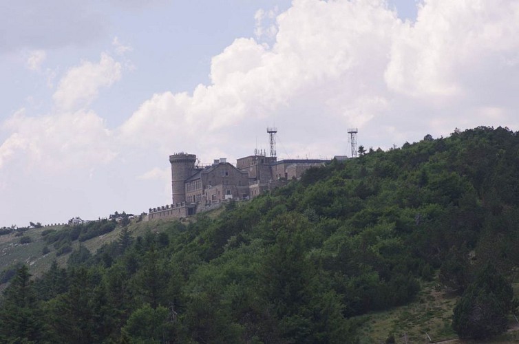 Cévennes Randos - Aigoual fragrance
