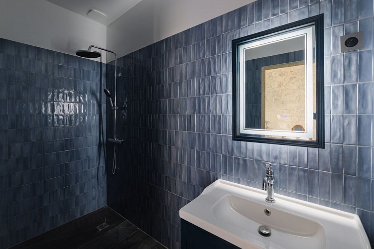 Chambre Luire Salle d'eau
