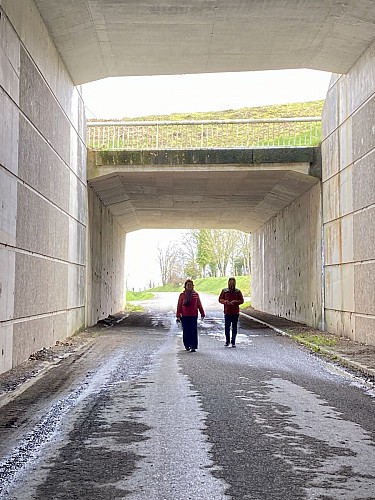 Pont sous A84 Gouvets