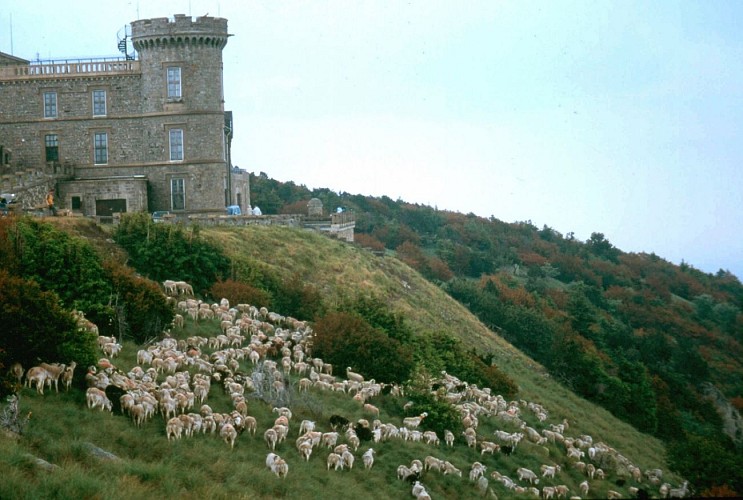 Causses et Cévennes