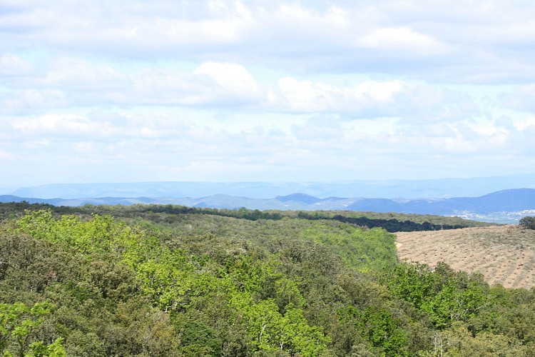 Espace Naturel Sensible du massif et des gorges de la Cèze