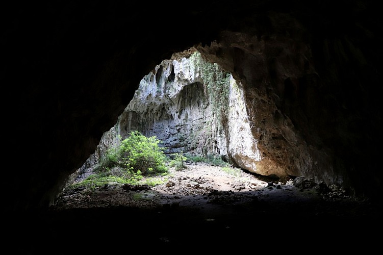 Espace Naturel Sensible du massif et des gorges de la Cèze