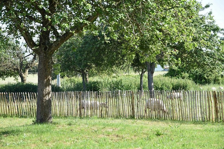 Gîtes de France G1303 : Le Relais du Berger