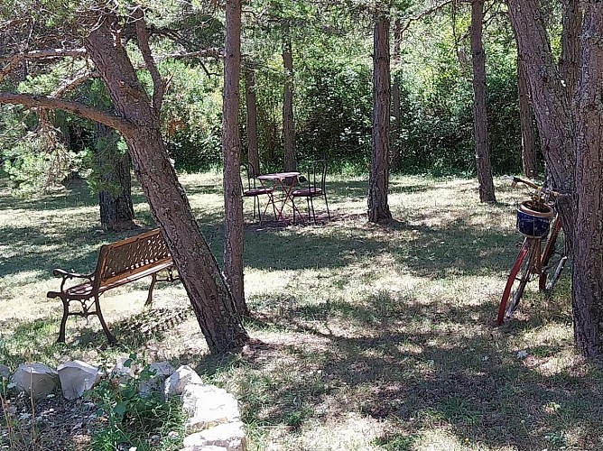 Petit studio dans la prairie