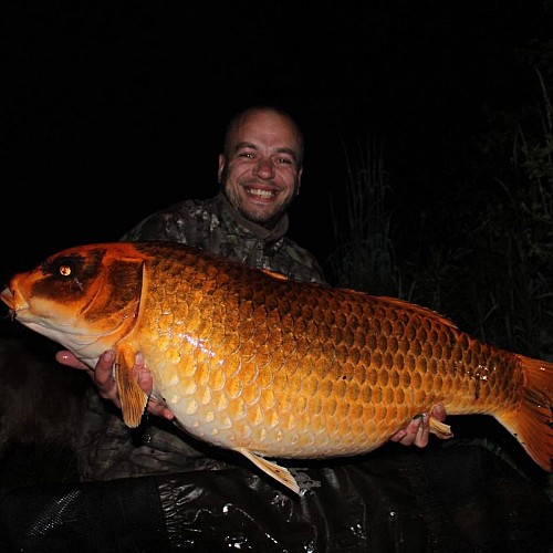 191239155_3591351090969674_851960286237485300_n