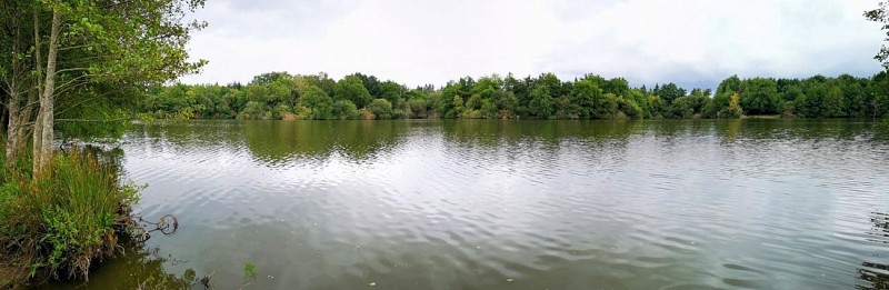 Etang des Bussières