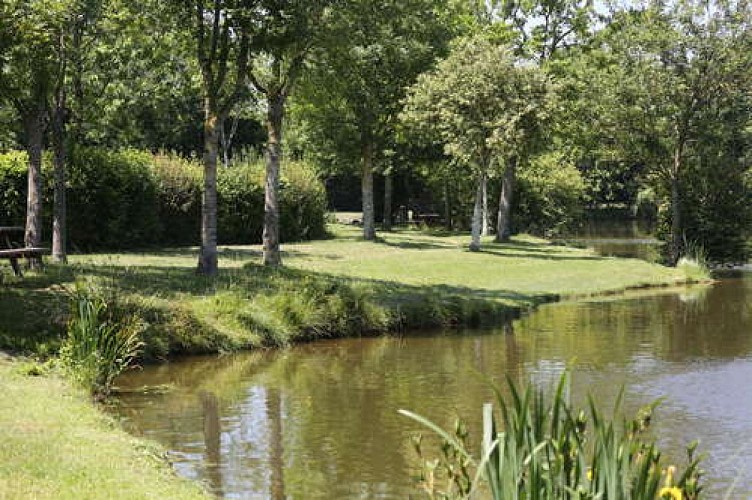Plan d'eau