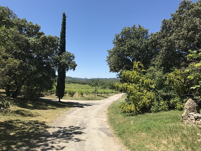 Méditerranée-Cévennes - Itinéraire complet Sur les Pas des Huguenots