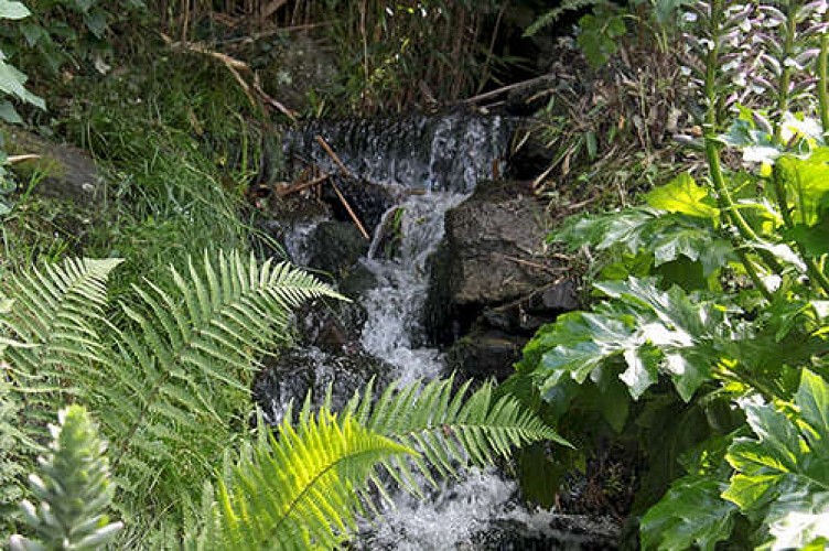 Espace vert de la Vallée