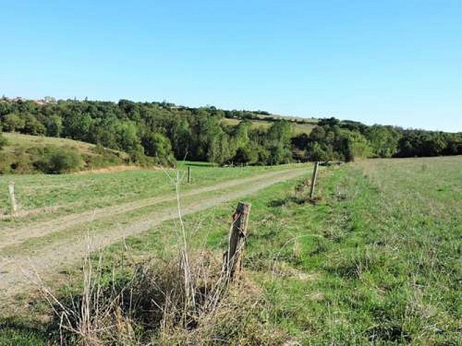 Sentier vers la Roche Batiot