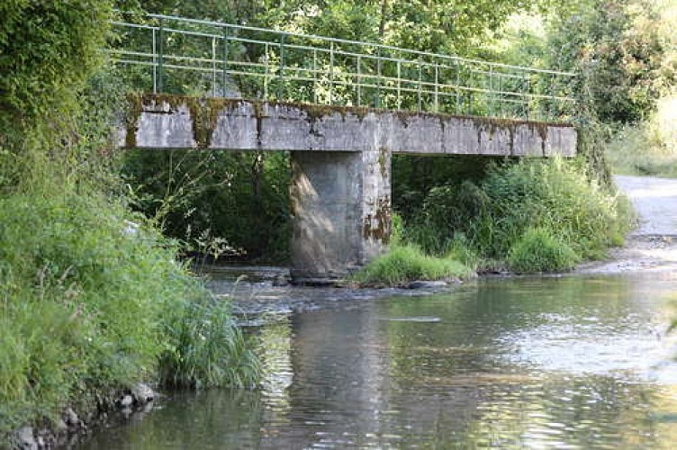 Passerelle de la Planche sur le Grand Lay