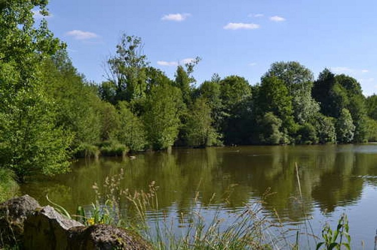 L'étang du Coudreau