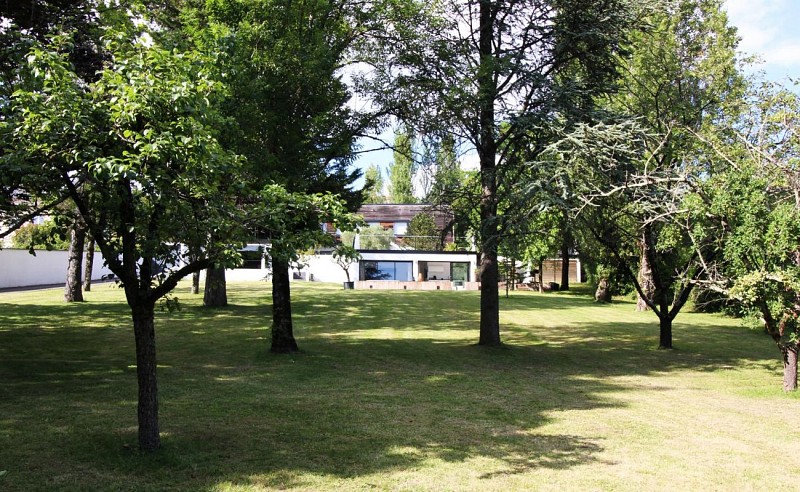 photo6