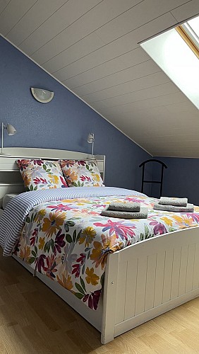 Chambre Myosotis