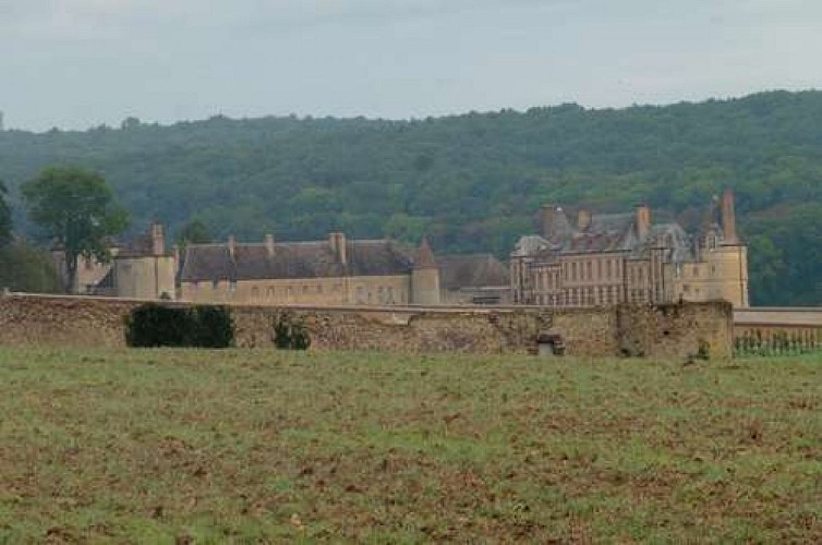 Château de la Rivière