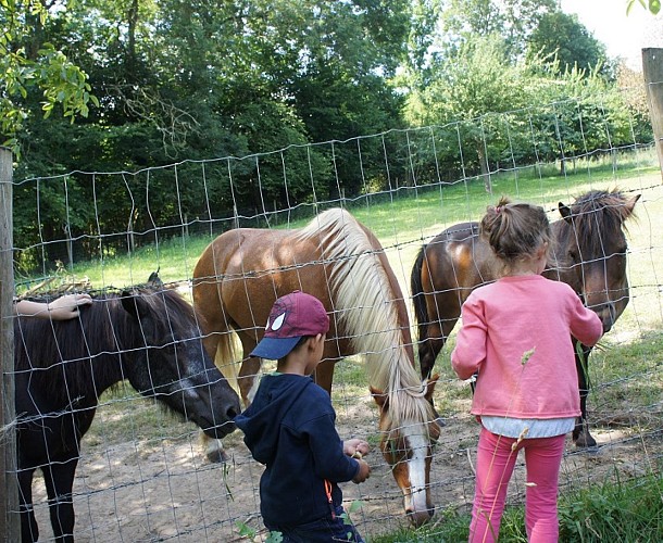 Ferme des Cocottes (12)