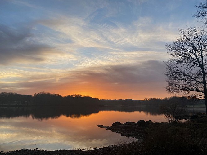 Coucher de soleil sur l'étang