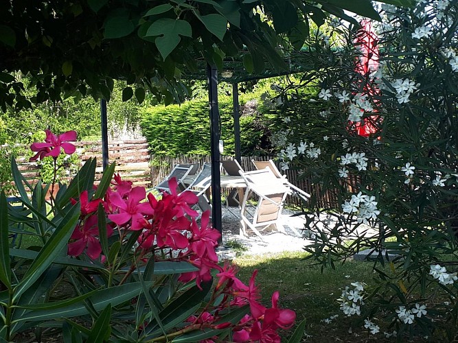 photo1