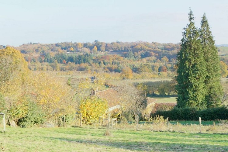 image du object