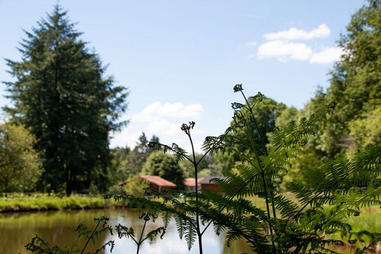 Vauguenige Juin 2019 © Sabine Massé-7