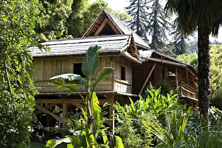 The Bamboo Grove in the Cévennes
