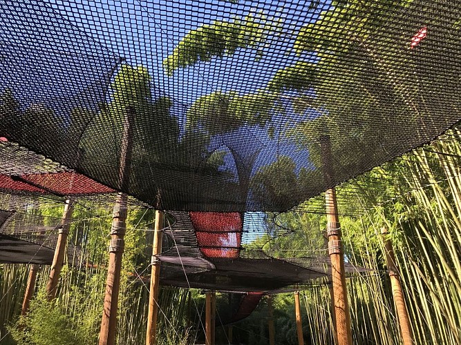 El bosque de bambúes de las Cevenas