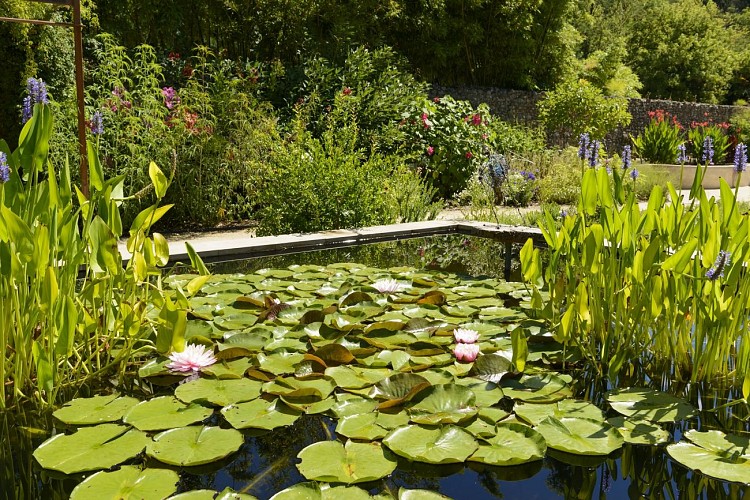塞文山脉的竹林