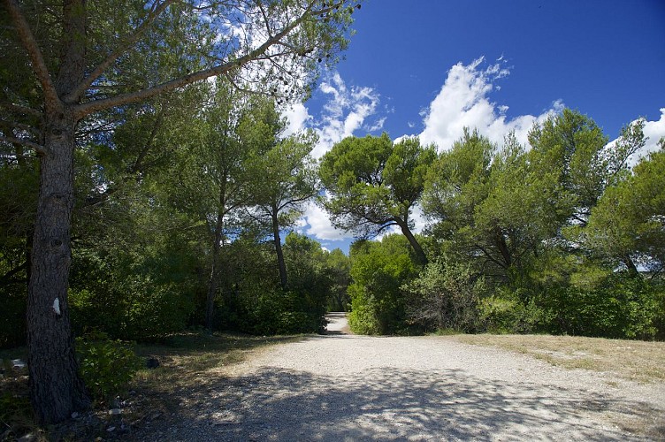 La colline des Mourgues