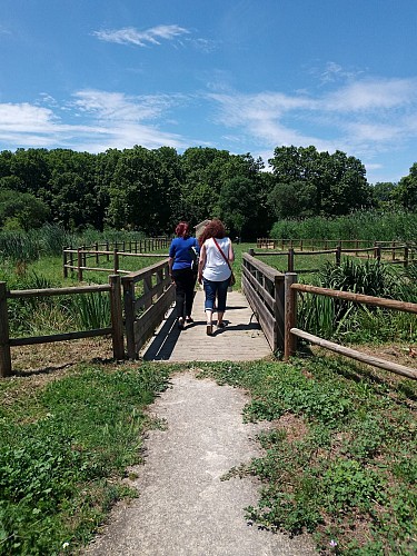 Parc des Aigrettes