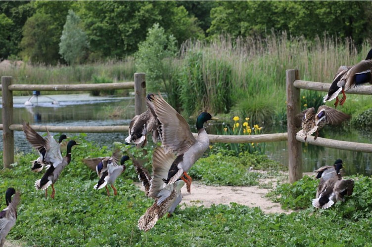 Parc des Aigrettes