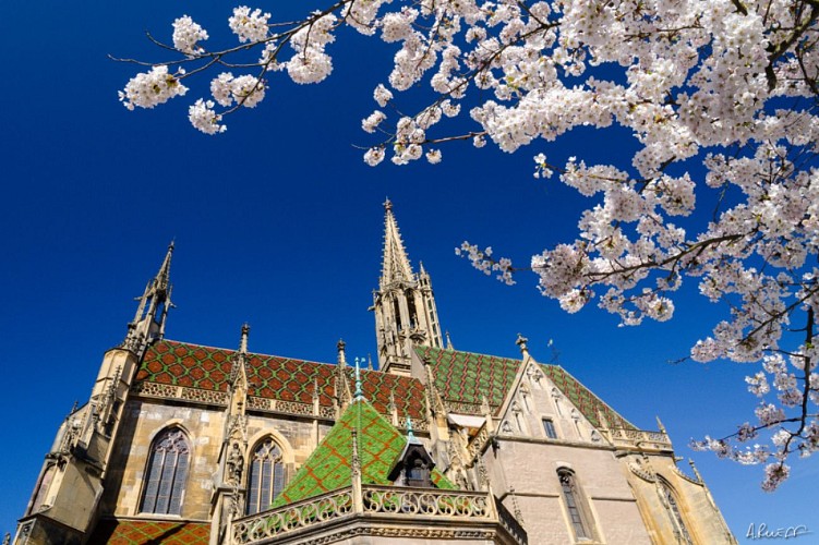 Concert : Feu sacré