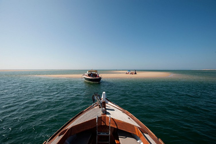 Les-Pinasses-du-Bassin--3-