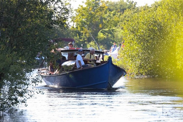 Les-Pinasses-du-Bassin