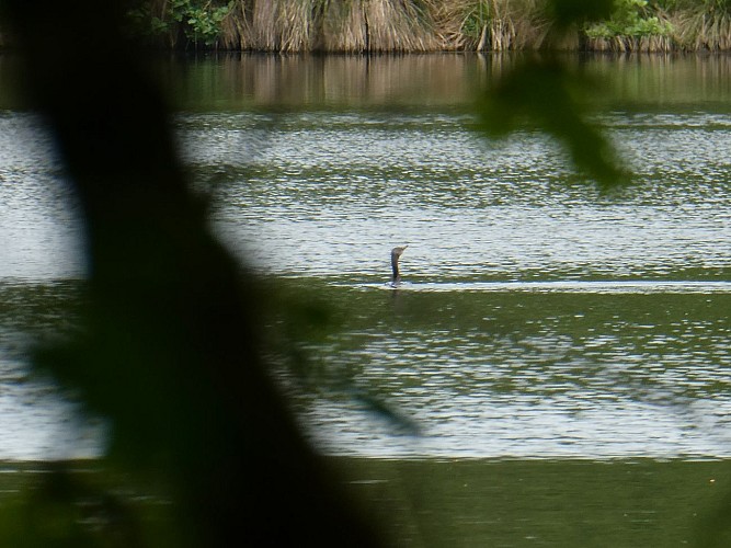 image du object