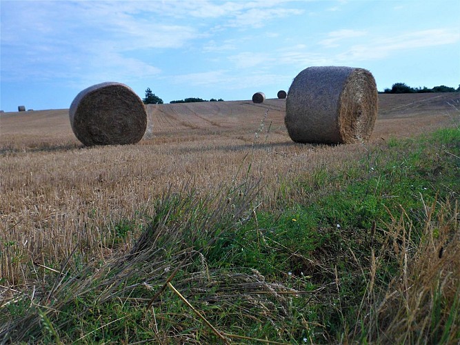 image du object