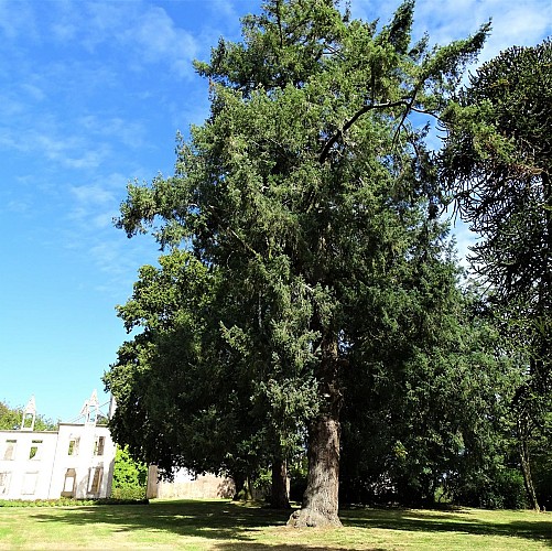 image du object