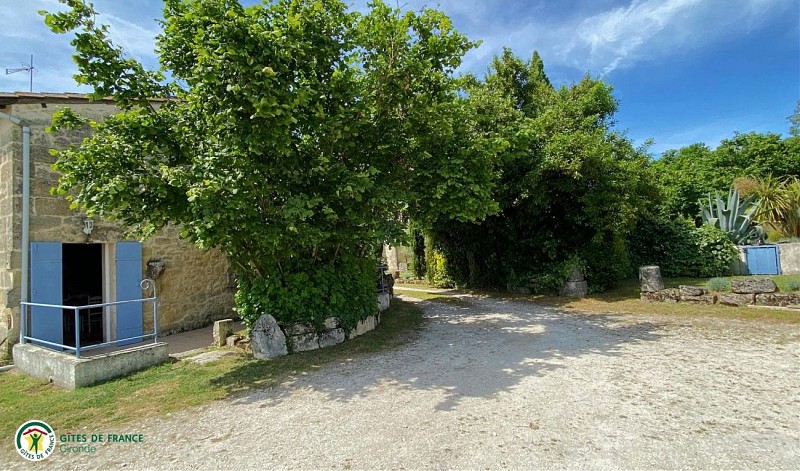 photo1