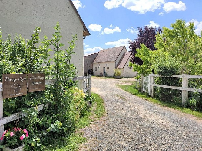 La-Grande-Maison-de-Volganza-12-St-Fulgent-800