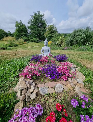 1000020604