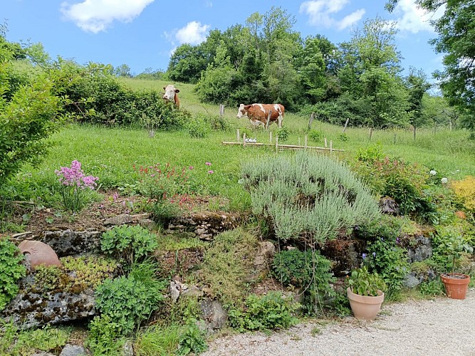 Jardin