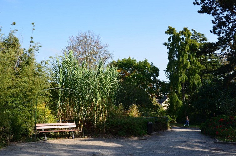 REDON - Parc De Bel Air_nathalie guillemain - 2