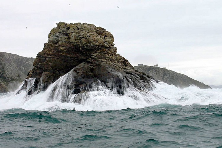 3 Centolo y Monte Facho