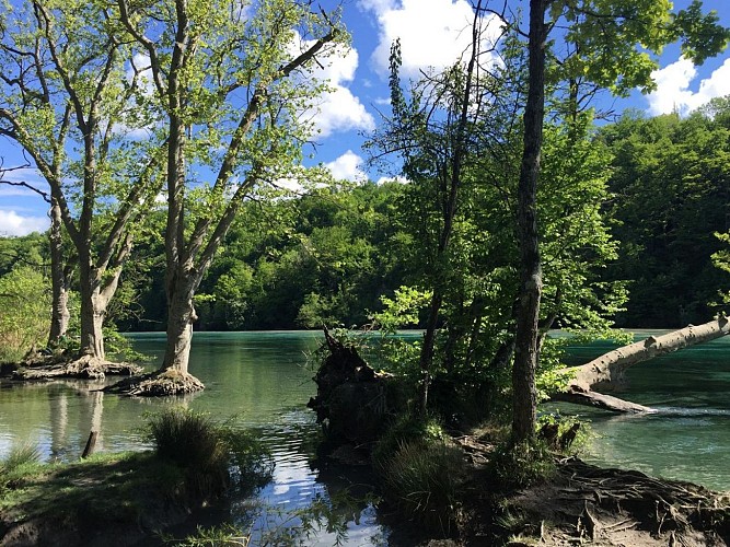 Bord du Rhône à Genève