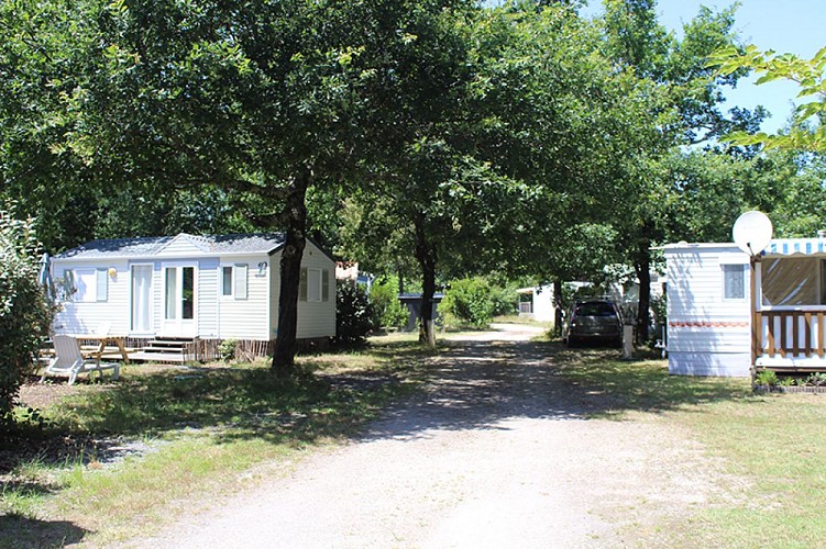 Carcans - La Chrysalide1